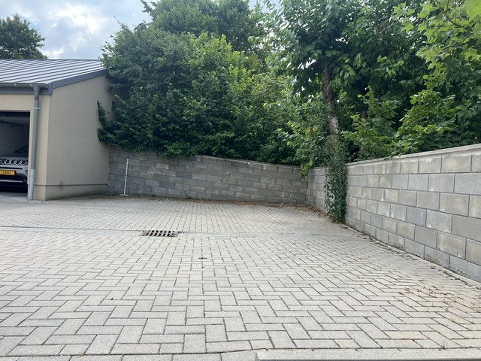 Image 16